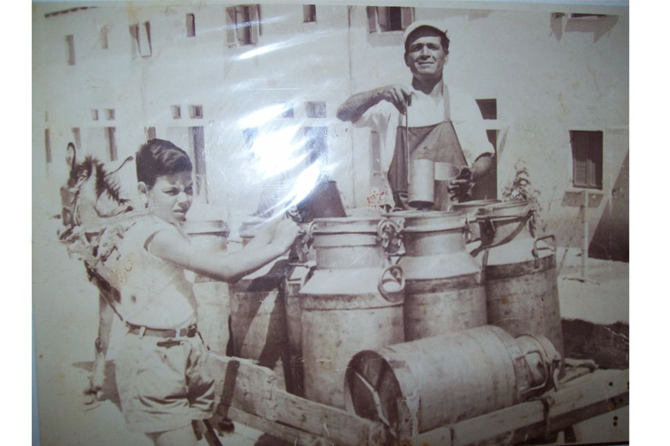 אבא יוסף קמחי ובנו ניסים מחלקים חלב 