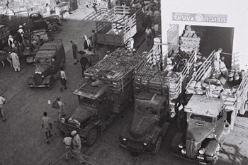 השוק הסיטונאי בתל אביב. צילום: זולטן קלוגר, ארכיון לע"מ